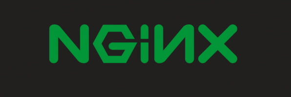 upload file on nginx – part 1: compile dynamic modules