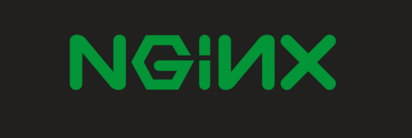 upload file on nginx – part 2: MySQL PAM and nginx config